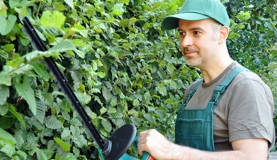 Hecke schneiden: Wann es erlaubt ist